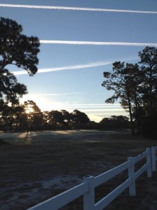 Monday, October 20, 2014, 7:50 a.m., taken from fence on Pine Grove Road looking east over Wilmington Municipal Golf Course in Wilmington, North Carolina. Note lines of contrails left by fighter-size jets near horizon. Photo by author